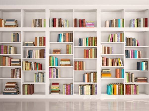 Bookshelf Assembly in Allen